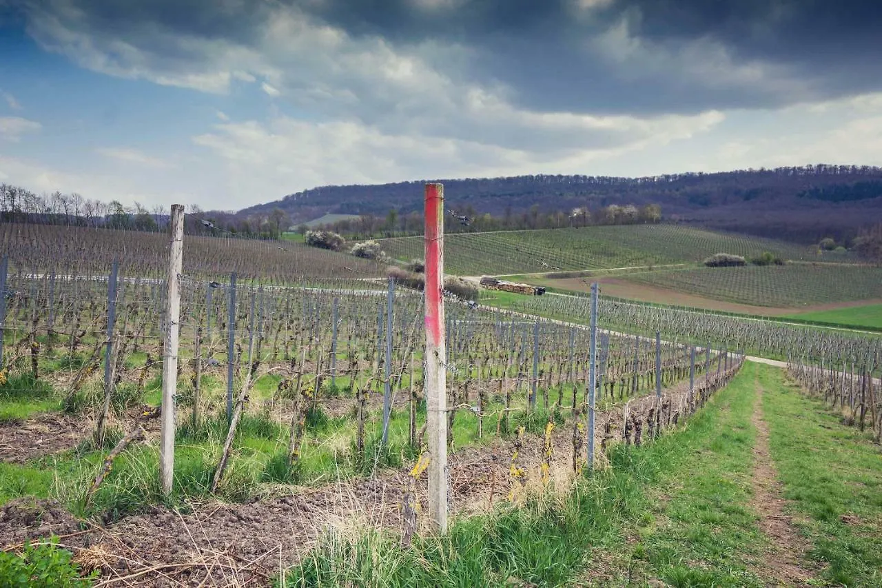 Landhotel Und Weingasthof Schwarzer Adler Wiesenbronn